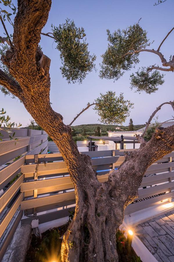 B&M Villas Metochi Siriliou Exterior photo